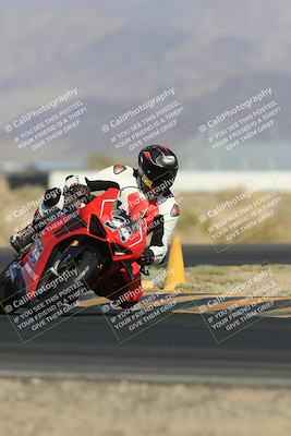 media/May-13-2023-SoCal Trackdays (Sat) [[8a473a8fd1]]/Turn 4 (820am)/